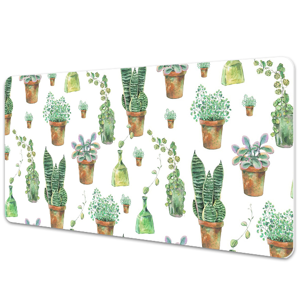 Bureaumat Geschilderde cacti