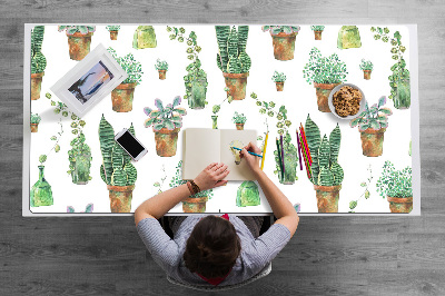 Bureaumat Geschilderde cacti