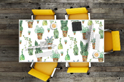 Bureaumat Geschilderde cacti