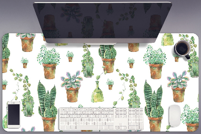 Bureaumat Geschilderde cacti