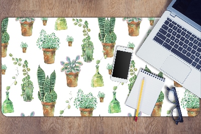 Bureaumat Geschilderde cacti