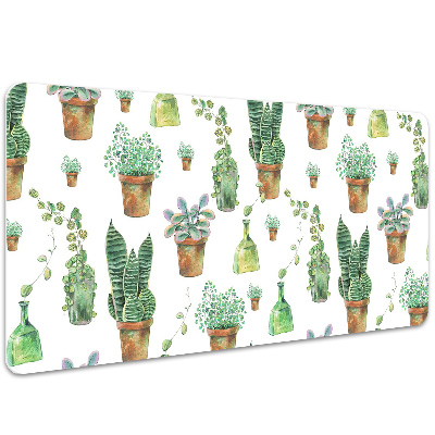 Bureaumat Geschilderde cacti