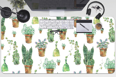 Bureaumat Geschilderde cacti