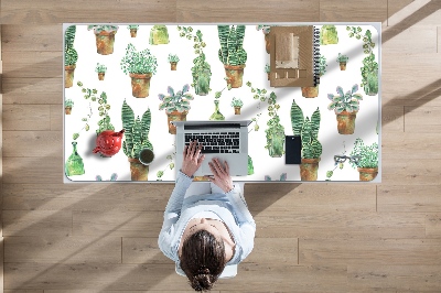 Bureaumat Geschilderde cacti