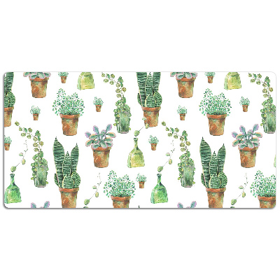 Bureaumat Geschilderde cacti